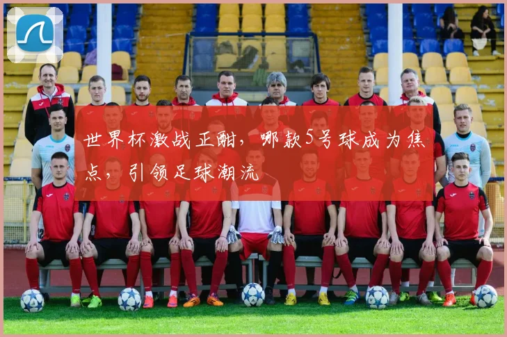 世界杯激战正酣，哪款5号球成为焦点，引领足球潮流