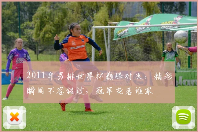 2011年男排世界杯巅峰对决，精彩瞬间不容错过，冠军花落谁家
